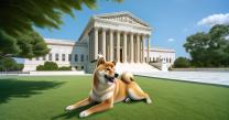 Supreme Court to resolve Coinbase arbitration dispute with users in Dogecoin sweepstakes lawsuit