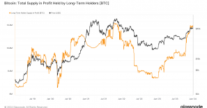 Long-term Bitcoin holders demonstrate market resilience with a large majority in profit
