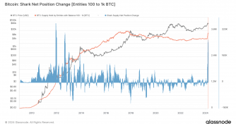 Bitcoin accumulation hits decade high among ‘Shark’ cohort