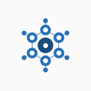 BridgeCoin
