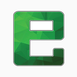 E-Currency Coin