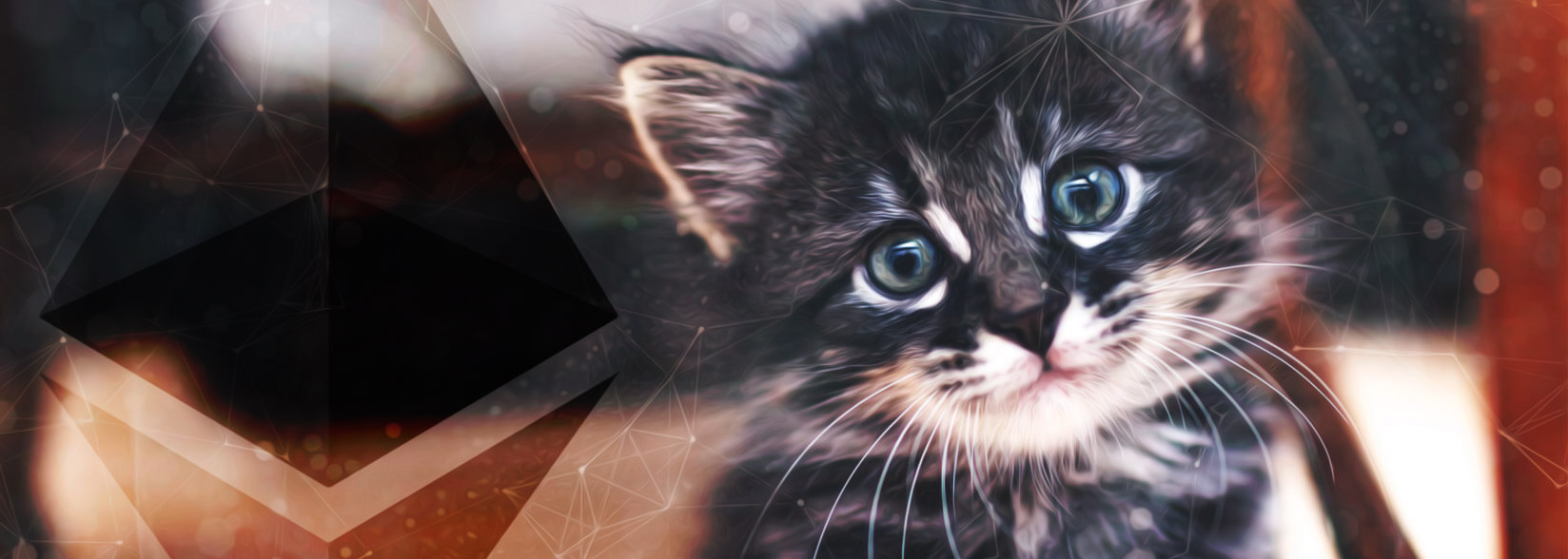 Millions of Dollars Worth of Cats are Still Infesting the Ethereum Network