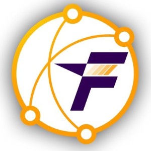Flashmoni