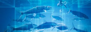 Do You Know Where Your Fish Is Coming From? Blockchain May Provide the Answer