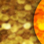 Bitcoin vs WoW Gold: Why Aren’t Cryptos Treated Like In-Game Currencies?