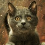 Company behind CryptoKitties raises $11 million to create new blockchain