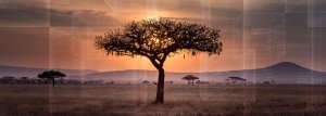 Blockchain Is Transforming the Digital Landscape of Africa