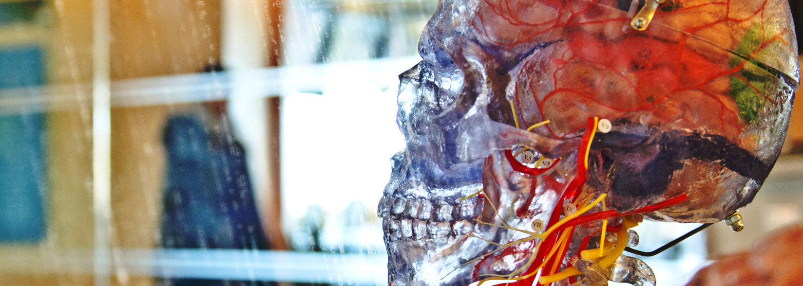 Disgraced Data Analytics Firm Cambridge Analytica Is Halting Its Plans for an ICO