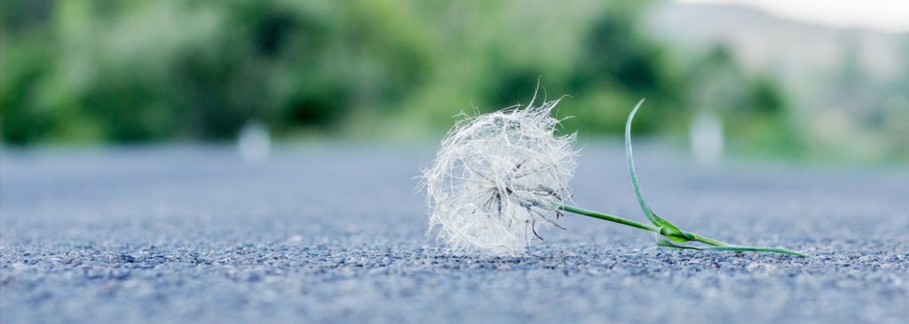 The Current State of Crypto Hedge Funds