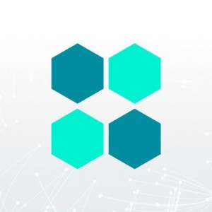 OneLedger