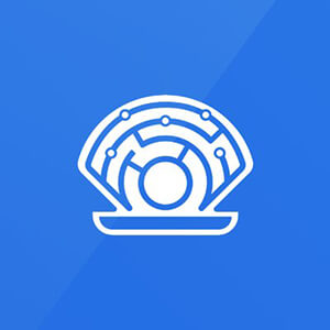 Oyster Shell