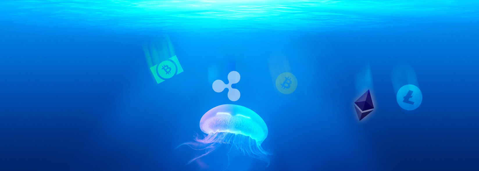 Price Watch: Bitcoin, Ethereum, Ripple, Bitcoin Cash and Litecoin Keep Sinking