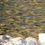 EOS, Stellar, and Tezos giving mixed price action signals