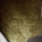 Privacy, Freedom, and Technology: McAfee to Eliminate Corruption and Deliver Free Medical Care if Elected US President