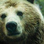 Major Fund: 99% of Blockchain Investors are Interested in Profits, Could Ruin Market