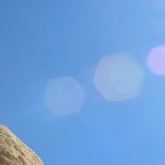 Tom Lee: ‘Bitcoin Can Reach $25,000 by End of Year’