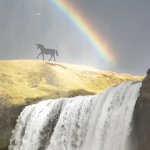 Uniswap eclipses Coinbase and other centralized exchanges as DeFi mania continues