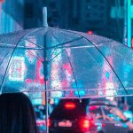 Korea Will Fuel the Development of dApps and Base Blockchain Layers Like Ethereum, EOS and NEO