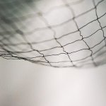 How to Avoid Getting Caught in a Phish-net of Scams