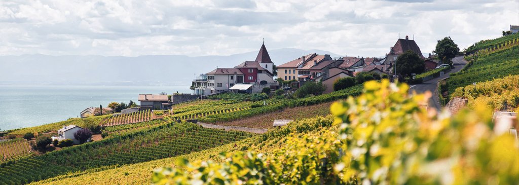 Why Switzerland’s Biggest Retailer Accepting Bitcoin is Crucial For Adoption