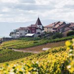 Why Switzerland’s Biggest Retailer Accepting Bitcoin is Crucial For Adoption