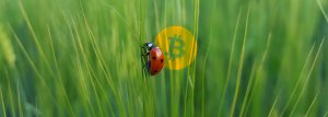 Bitcoin Core Developer Revealed as Bitcoin Cash Bug Informant