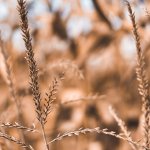 Ohio Takes Charge in Supporting Blockchain Businesses with New Legislation