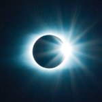 White Standard Stablecoin Launches on Stellar-Based Exchange