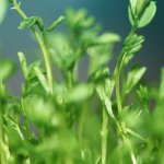 This Week in Blockchain Venture Capital – Sept. 13