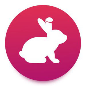 BunnyToken