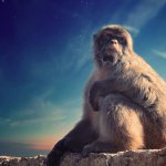 Gibraltar Stock Exchange dives deeper into crypto, says security tokens will be “huge” [INTERVIEW]