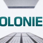 Circle warns Poloniex customers in the U.S. of assets conversion to USDC