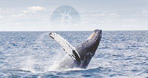 Research: Bitcoin (BTC) Whales Not Moving the Cryptocurrency Market