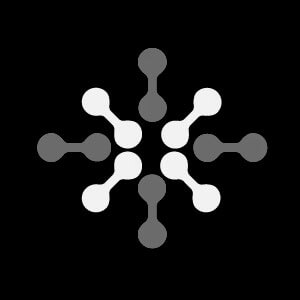 Shinobi Capital logo