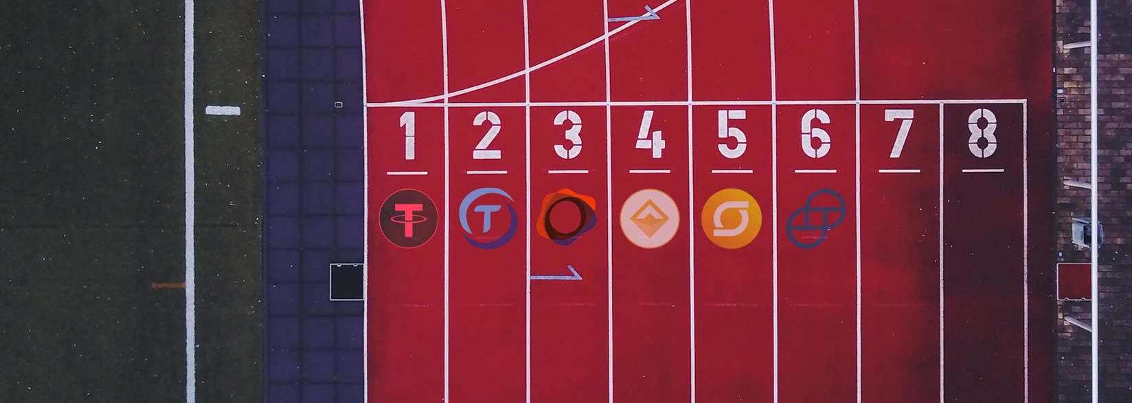 Who Is Winning The Stablecoin Race?