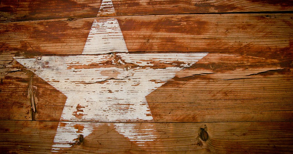 Texas Law Enforcer Who Took Down BitConnect: The Hunt for Crypto Cowboys in the Lone Star State