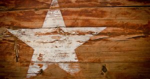 Texas Law Enforcer Who Took Down BitConnect: The Hunt for Crypto Cowboys in the Lone Star State