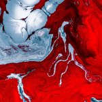 Bitcoin drops 15%, indicators show potential for decline to $6,500