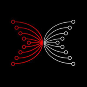 Input Output logo