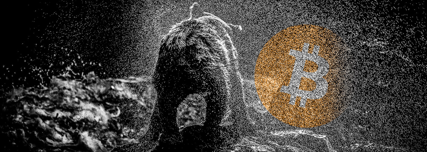 Bitcoin fell below $10,000; Ethereum, Litecoin, Bitcoin Cash devastated, XRP holds