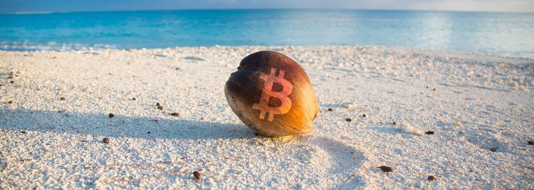 Humor: Bitcoin SODLers Now Can Easily Sell the ‘Bottom’ with PayPal