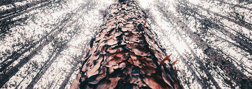 Zcoin Implementing ASIC Resistant Merkle Tree Proof (MTP) Crypto Mining