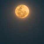 Investigating Scam Allegations Around Apollo Currency