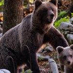 Blockfolio’s CEO: How to Thrive During a Brutal Bear Market [Interview]