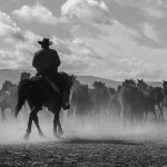 Meet the Crypto Cult, the Colorful Cast of Cryptocurrency’s Wild West