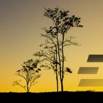 Dash Venezuela Team Issues a Response to Embezzlement Accusations against Dash Merchant Venezuela