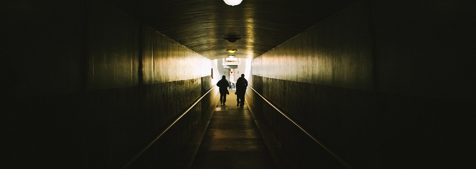 ShapeShift Cryptocurrency Exchange Lays Off 37 Employees, CEO Calls Expansion Mistake