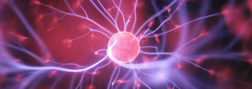 Interview with Komodo’s CTO, How Atomic Swaps Will Change How Cryptocurrency is Traded