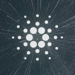 Cardano launches the Shelley testnet website