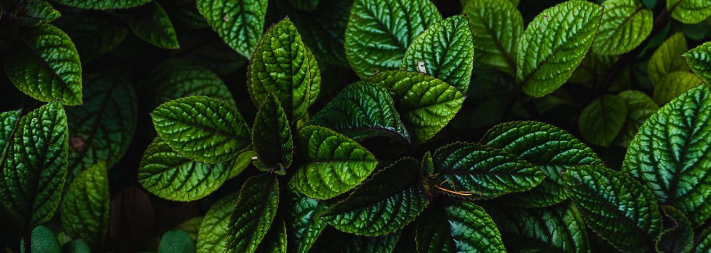 Public Blockchain Company Tendermint Inc. Secures $9 Million in Series A Round